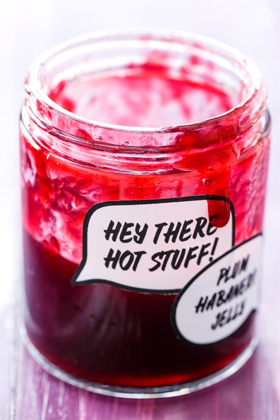 Damson Plum & Habanero Jelly (and FREE printable jam labels!)