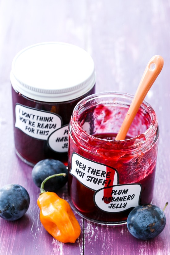 Damson Plum & Habanero Jelly