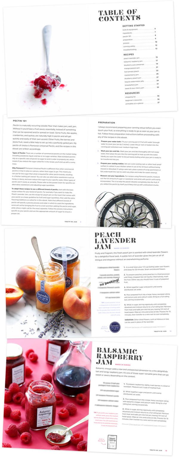 That's My Jam eBook Series: Seasonal Jam Recipes & Printable Labels