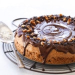 Cocoa Pecan Torte Recipe - Kosher for Passover