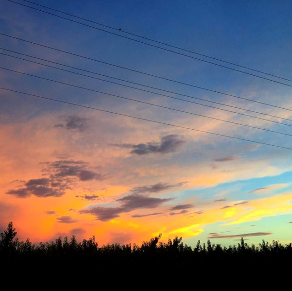 Sunset in Palisade, Colorado (from @loveandoliveoil Instagram)