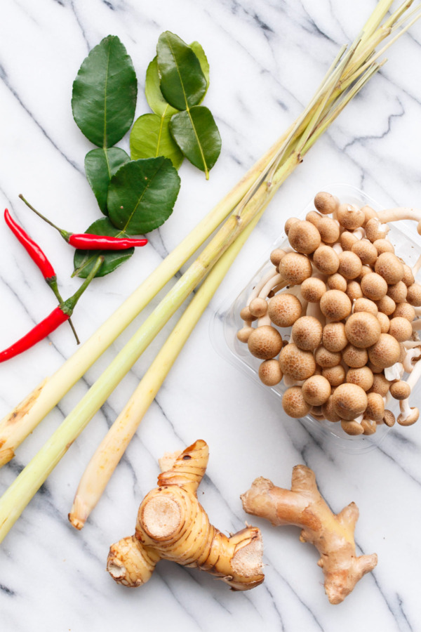 Ingredients to make Slow Cooker Tom Kha Gai Recipe