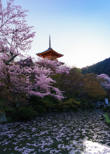 Kiyomizu-dera Temple at Sunrise, Kyoto, Japan