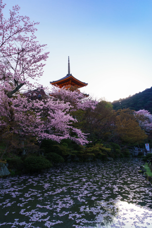 Kiyomizu-dera Temple at Sunrise, Kyoto, Japan