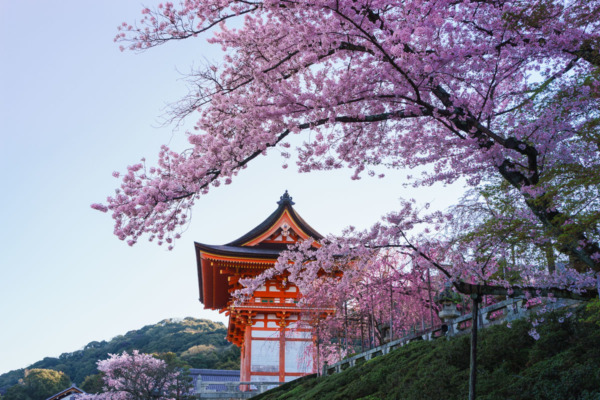 Kiyomizu-dera Temple at Sunrise, Kyoto, Japan