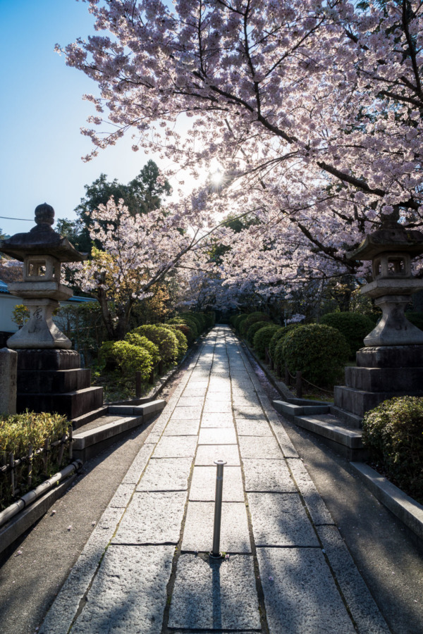 Streets of Kyoto, Japan