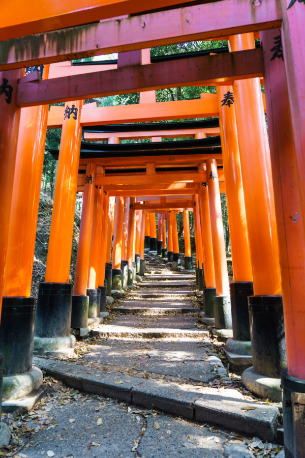 Fushimi Inari-taisha Shrine, Kyoto Japan