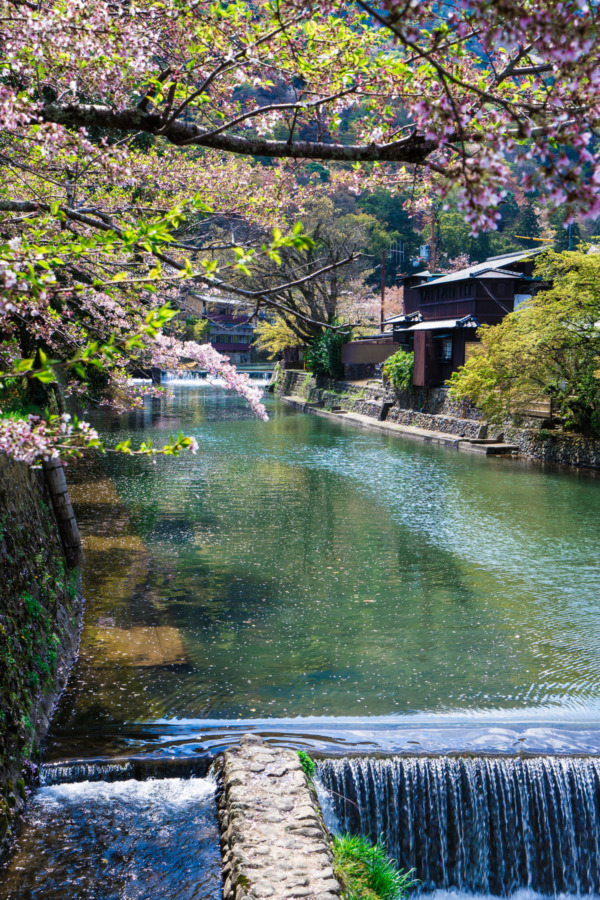 Arashiyama Park along the Katsura River, Kyoto Japan