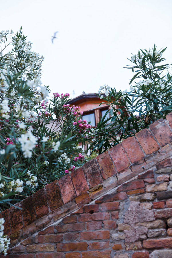 Dorsoduro neighborhood, Venice Italy