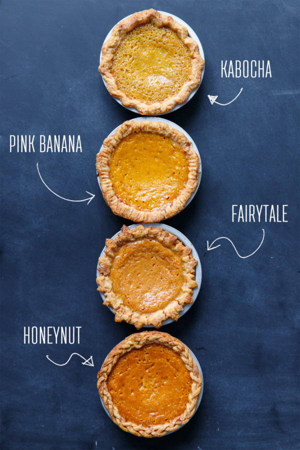 Which kind of squash makes the best pumpkin pie?