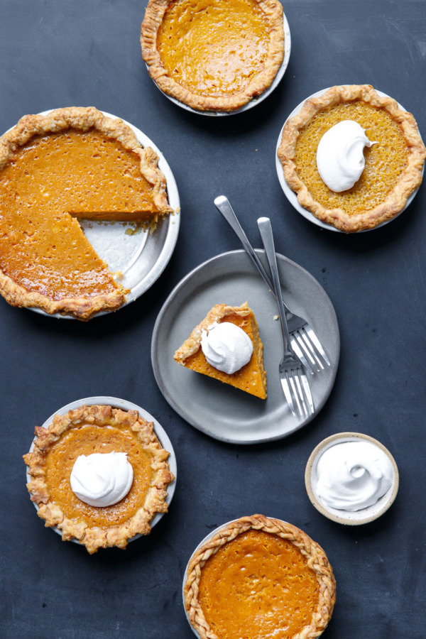 Which kind of squash makes the best pumpkin pie?