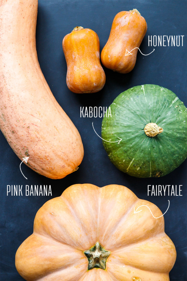 Banana, Honeynut, Kabocha, or Fairytale: Which kind of squash makes the best pumpkin pie?