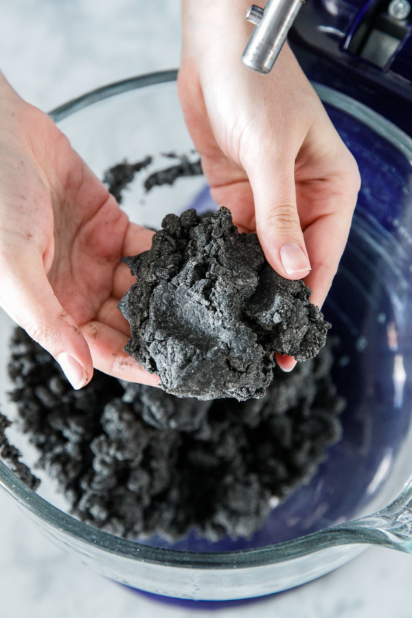 Homemade Squid Ink Pasta