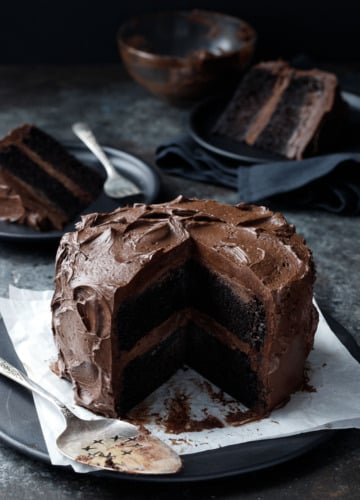Ultimate Chocolate Cake with Fudge Frosting