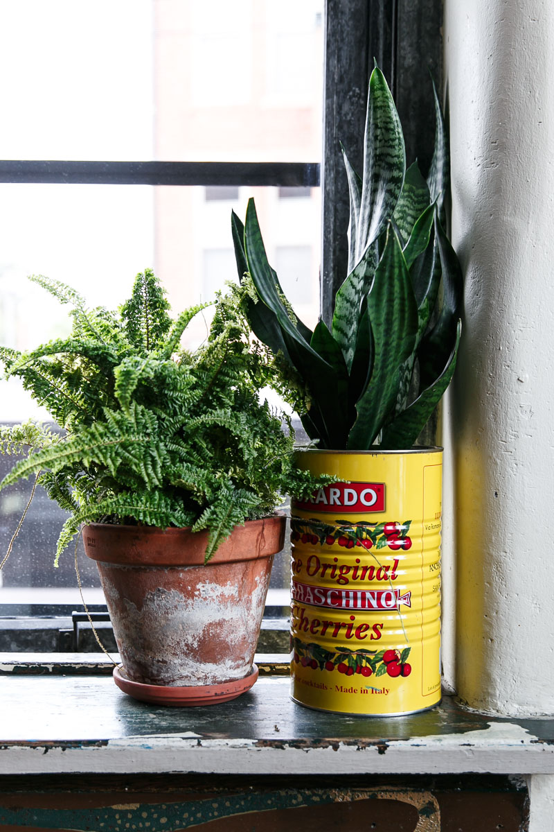 Food Explorations in Columbus, Ohio Love and Olive Oil