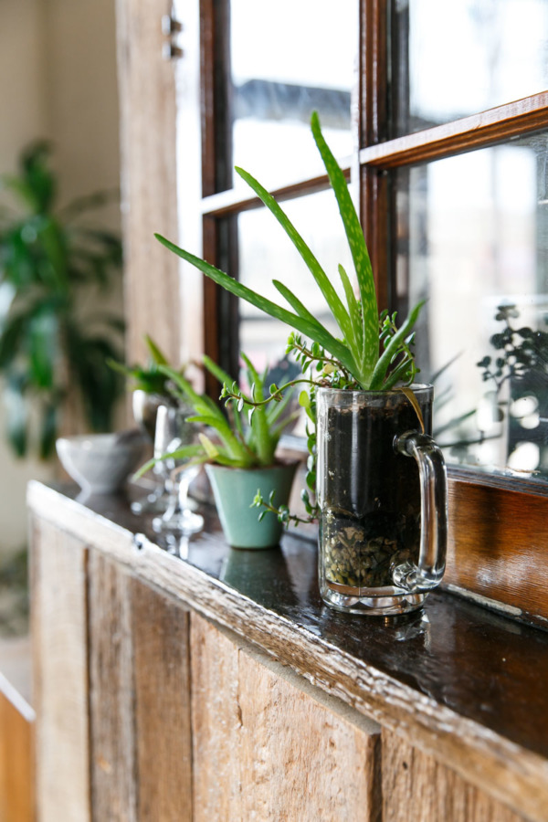 Loving these upcycled houseplant containers at The Table restaurant in Columbus, OH