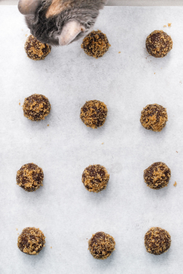 Bourbon Chocolate Sugar Cookies