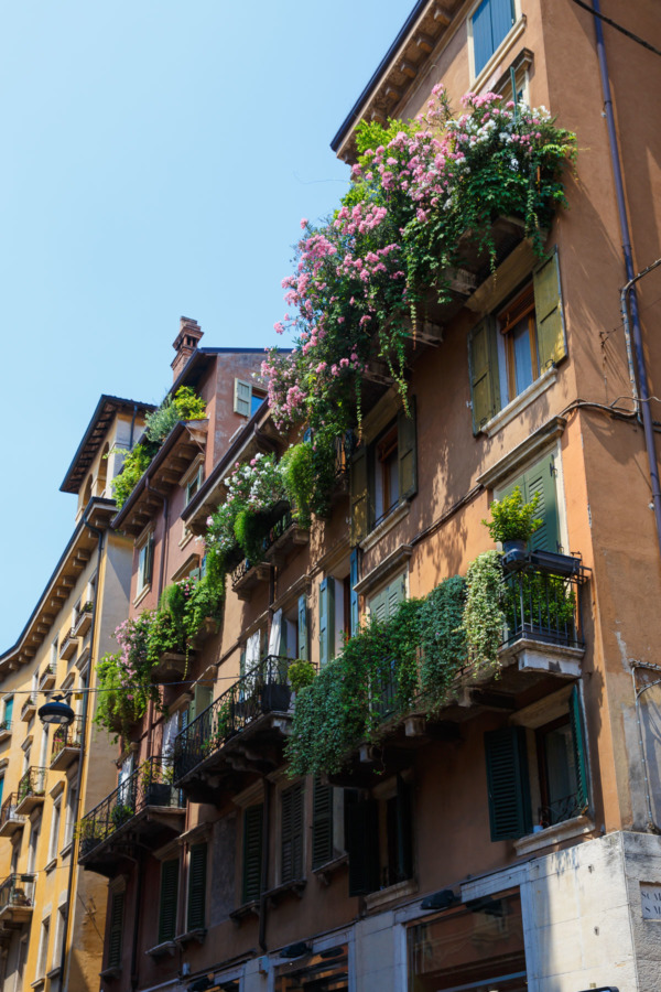 Lush Balconies in Verona, Italy