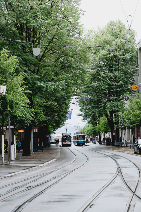 Tree-lined street and trolley car, Zurich, Switzerland