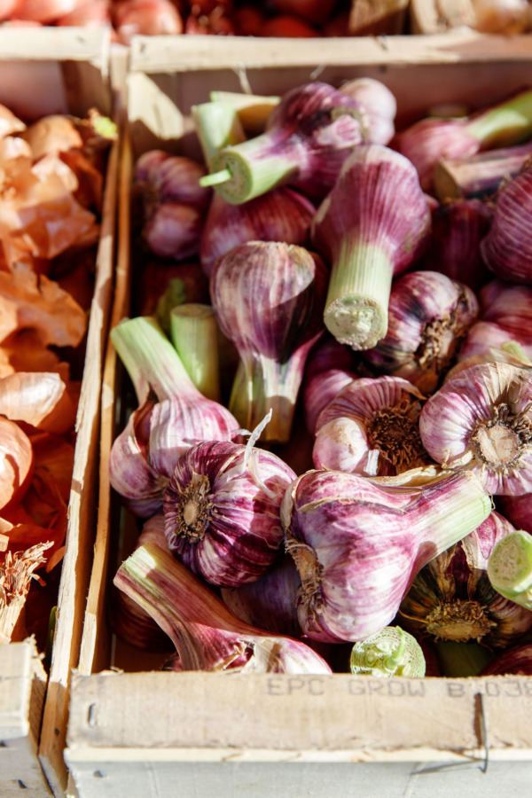 Purple garlic at a farmers market in Montreuil-Bellay, France