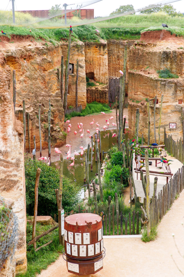 The South American Aviary in the Bioparc (Zoo) in Doué la Fontaine, France