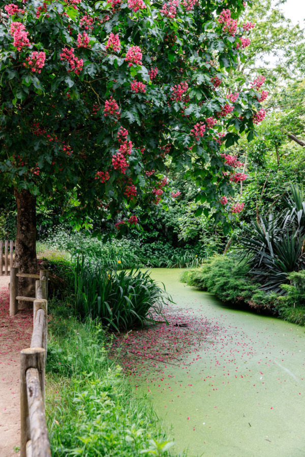 Lovely habitats for the animals at the Bioparc (Zoo) Doué la Fontaine, France