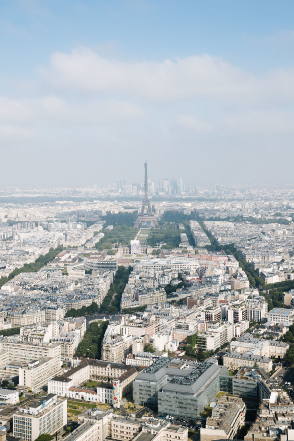 View of the Eiffel Tower from Montparnasse, Paris, France