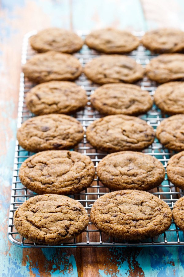 Chewy Molasses Chocolate Chip Cookie Recipe
