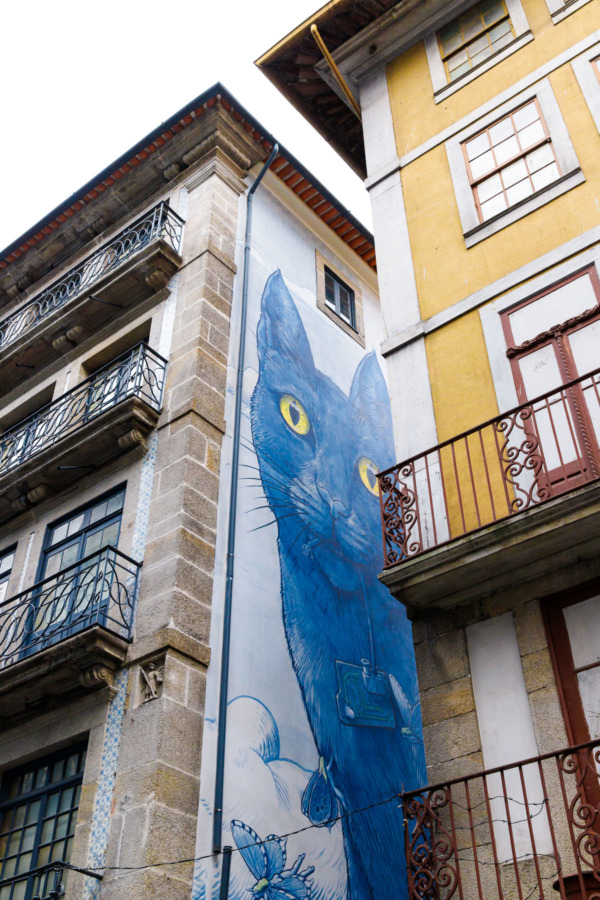 Big blue cat mural hidden in an alleyway, Porto, Portugal