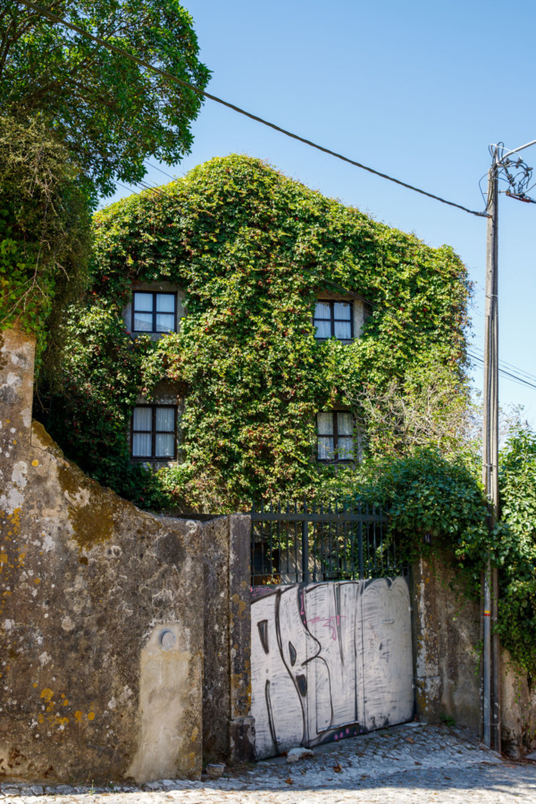 Ivy-covered house in the town of Sintra, Portugal