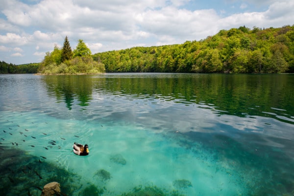 Plitvice Lakes National Park, Croatia