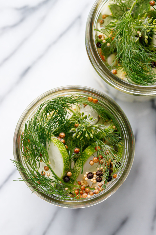 Looking down into a jar of refrigerator pickles filled with vinegar brine