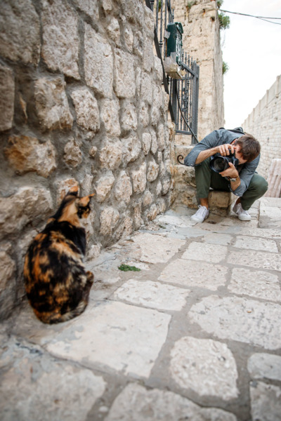 Photographing one of Dubrovnik's many street cats