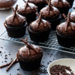 Ultimate Chocolate Cupcakes with Chocolate Fudge Frosting Recipe