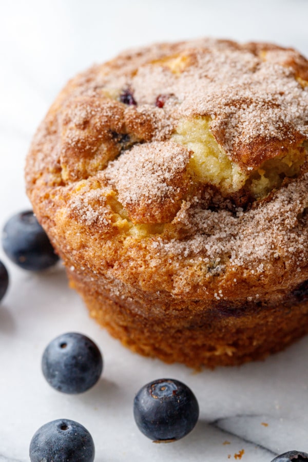 Closeup of blueberry coffee cake muffin showing the crackly cinnamon sugar topping