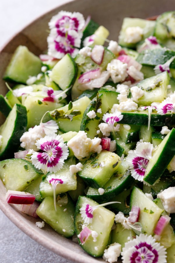 Closeup, Cucumber & Feta Salad with Herb Vinaigrette with edible dianthus flowers