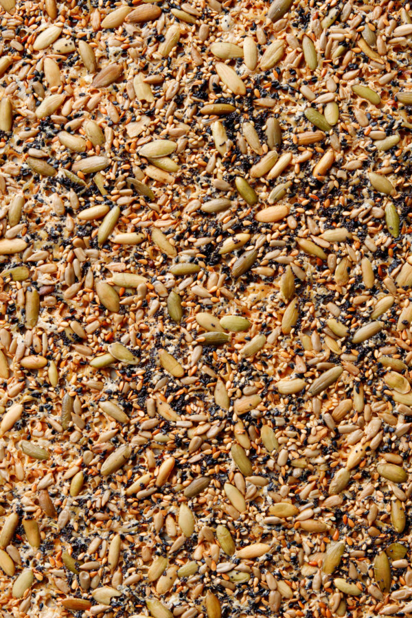 Overhead close up textural shot of Seeds and Cheese Crackers