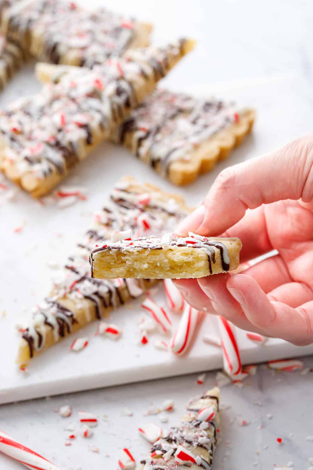 Hand holding a broken piece of Peppermint Bark Shortbread to show the tender texture inside.