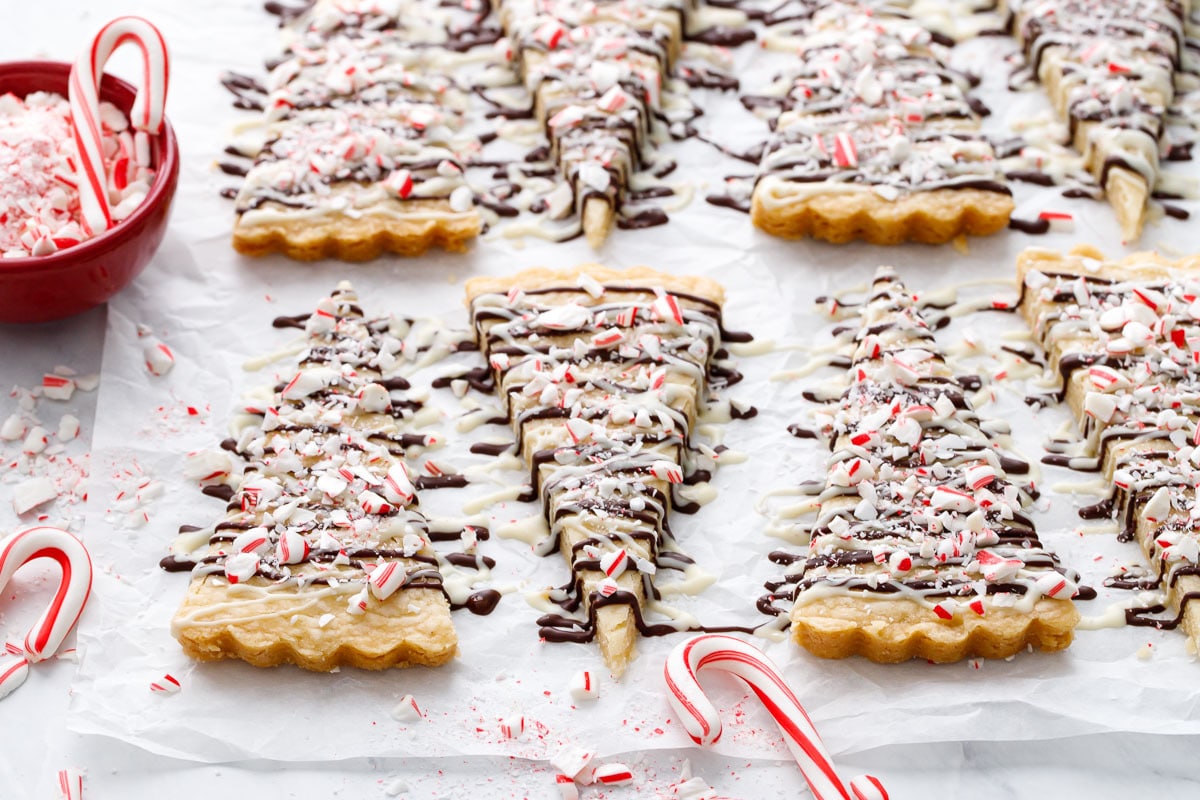 Peppermint Bark Shortbread Cookies