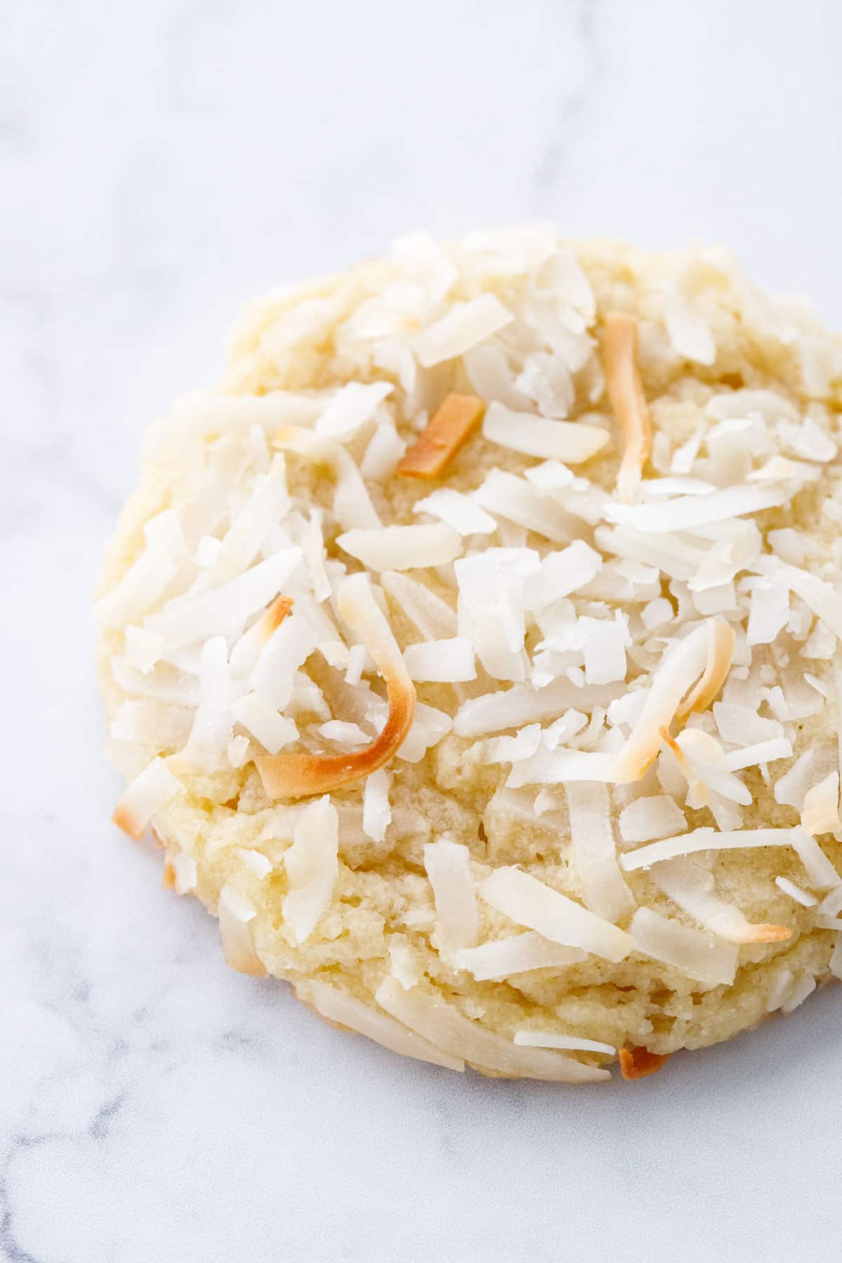Closeup of the top of a Toasted Coconut Sugar Cookies, with visible shreds of coconut and a crinkly sugar cookie texture underneath.