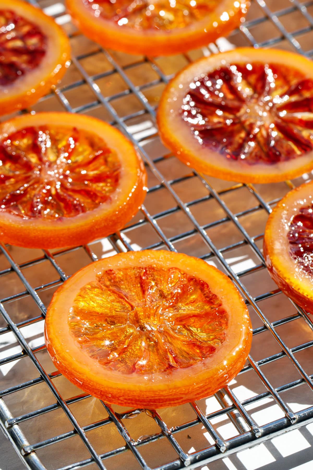 Homemade Candied Blood Orange Slices on a wire rack in bright direct light to showcase the stained-glass like appearance.