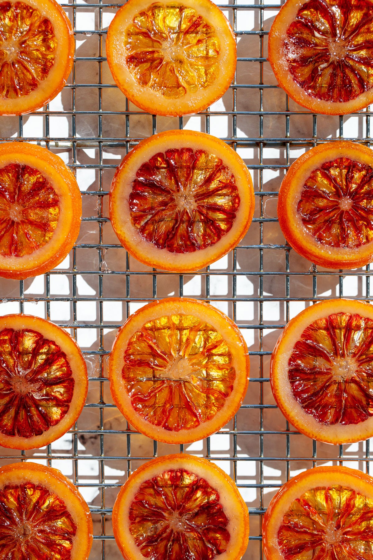 Homemade Candied Blood Orange Slices on a wire rack in bright direct light to showcase the stained-glass like appearance.