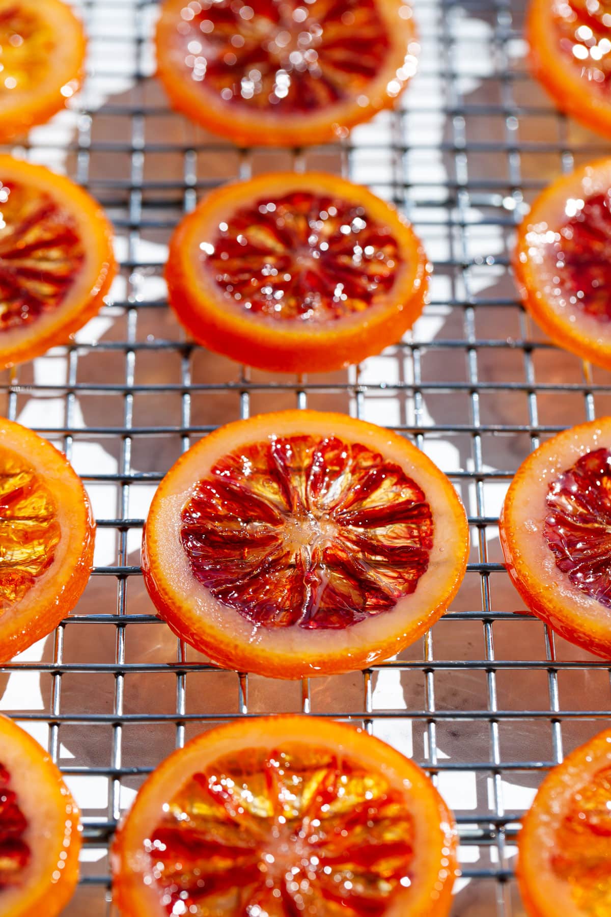 Homemade Candied Blood Orange Slices on a wire rack in bright direct light to showcase the stained-glass like appearance.