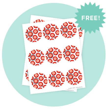 Mockup of free printable labels.