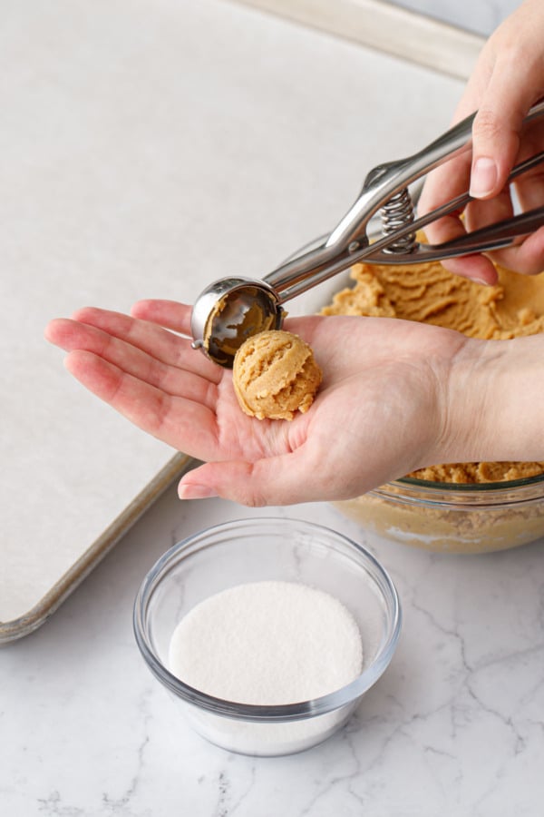 Small cookie scoop releasing a ball of peanut butter cookie dough into a hand.