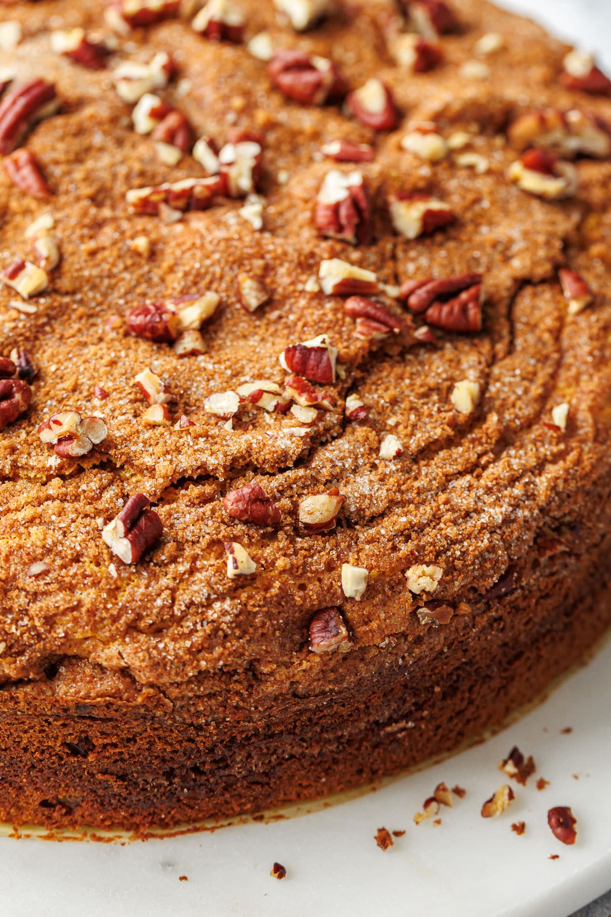 Closeup of the top of the Pumpkin Pecan Coffee Cake, a crispy sugar crust made from cinnamon sugar and pecans.