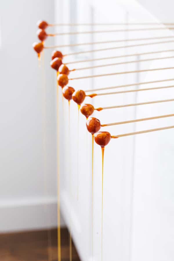 Row of caramel-covered candied hazelnut spikes hanging over the edge of the counter.