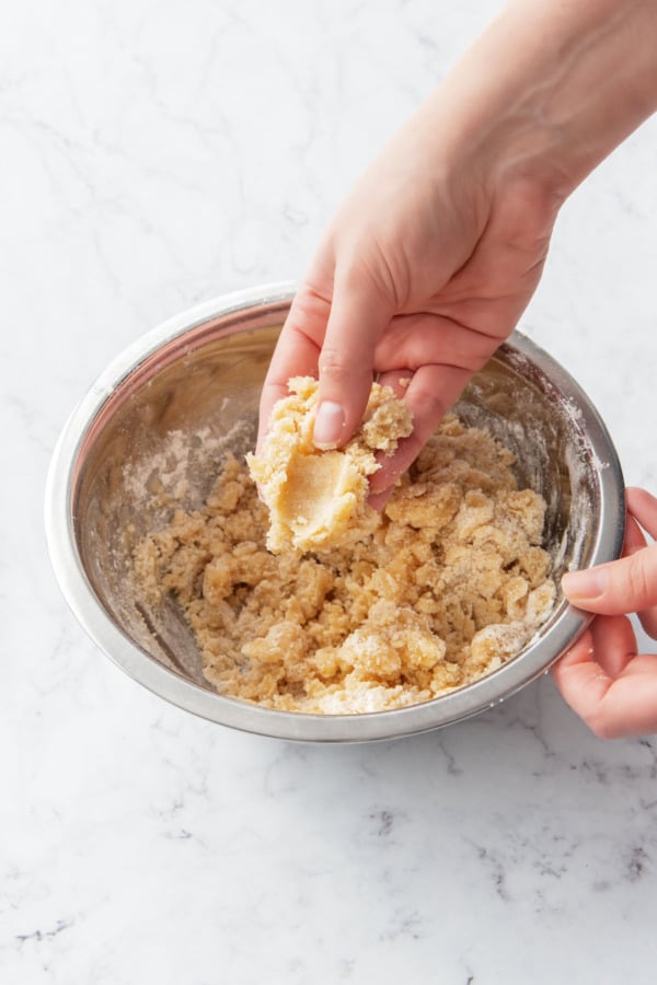 The crumb mixture after it comes together will be crumbly but should stick together when pressed between fingers.